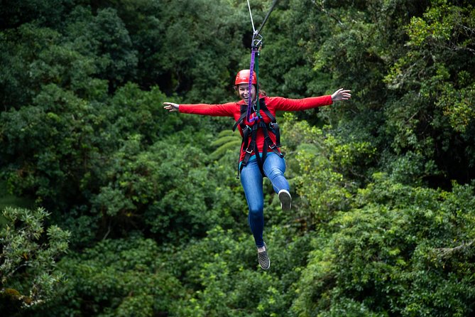 Rotorua Canopy Tours: 2.5Hour Native Forest Zipline Adventure - The forest lesson is not a side quest