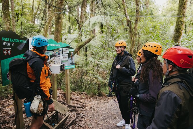 Rotorua Canopy Tours: 2.5Hour Native Forest Zipline Adventure - Weather you can ride in, plus gear that keeps you comfortable