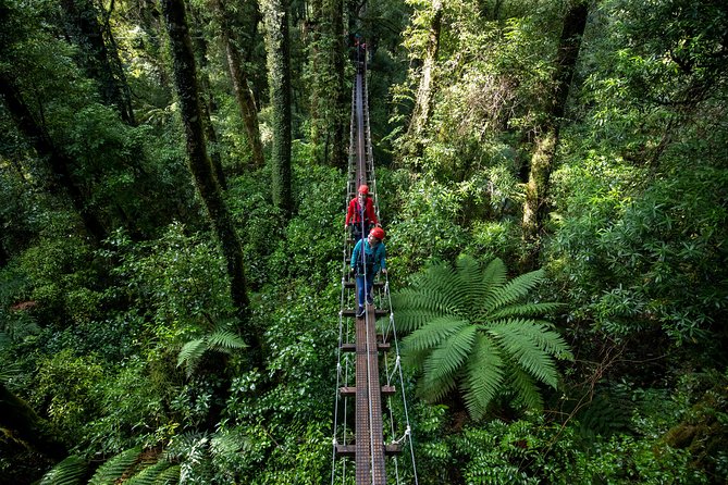 Rotorua Canopy Tours: 2.5Hour Native Forest Zipline Adventure - What’s included, what’s not, and how to plan your day