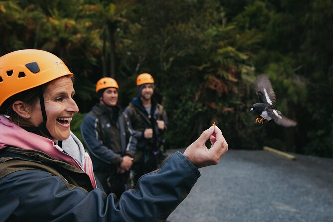 Rotorua Canopy Tours: 2.5Hour Native Forest Zipline Adventure - Who this Rotorua canopy zipline fits best