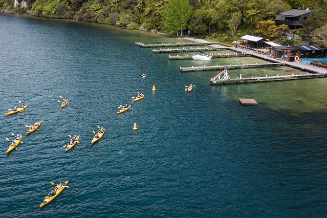 Rotorua: Daytime Scenic Lake Rotoiti Kayak Tour - Key highlights worth knowing