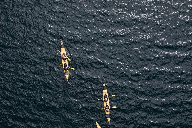 Rotorua: Daytime Scenic Lake Rotoiti Kayak Tour - Paddling Lake Rotoiti: coves, birds, and pohutukawa moments