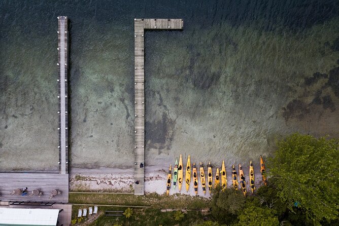 Rotorua: Daytime Scenic Lake Rotoiti Kayak Tour - Hot pools on the shore: warm water, real geothermal comfort