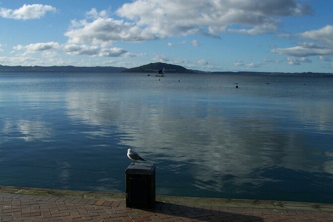 Rotorua Discovery Te Puia Tour - Rotorua City Stop: A Helpful Orientation, Not a Full Day