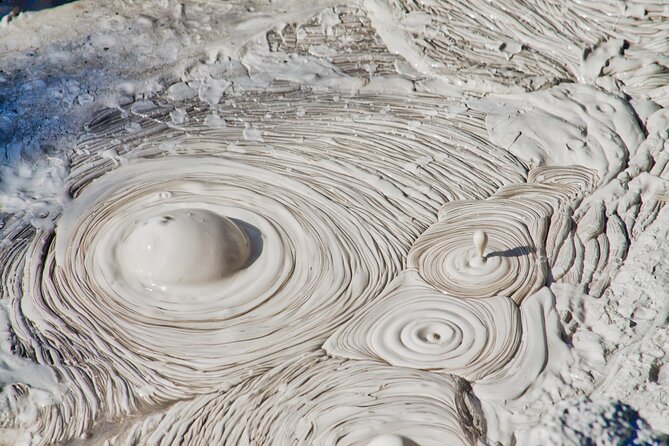 Rotorua Eco Cultural full day tour (Wai o Tapu, Waimangu,Te puia) - Rainbow Springs and the Rotorua scenic reset