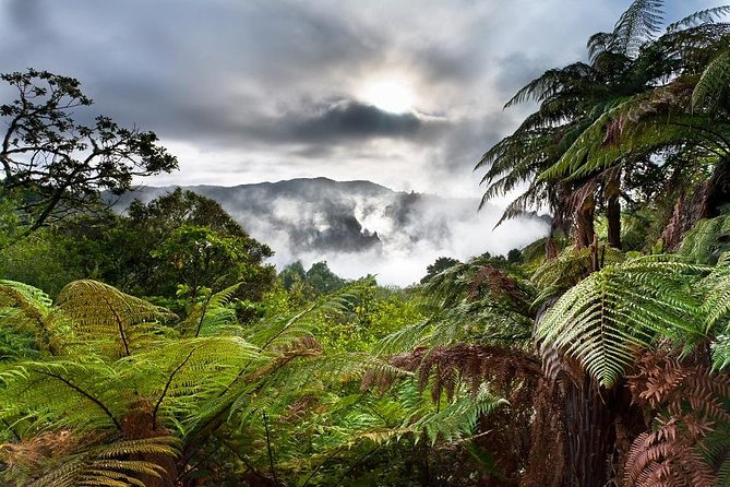 Rotorua Eco Cultural full day tour (Wai o Tapu, Waimangu,Te puia) - Price and what you really get for $217.82