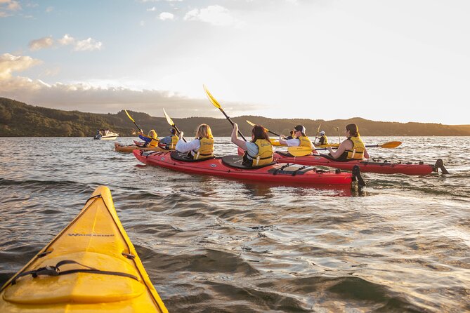 Rotorua: Evening Starlight Gourmet Kayak Tour Glowworms - Key highlights to know before you go