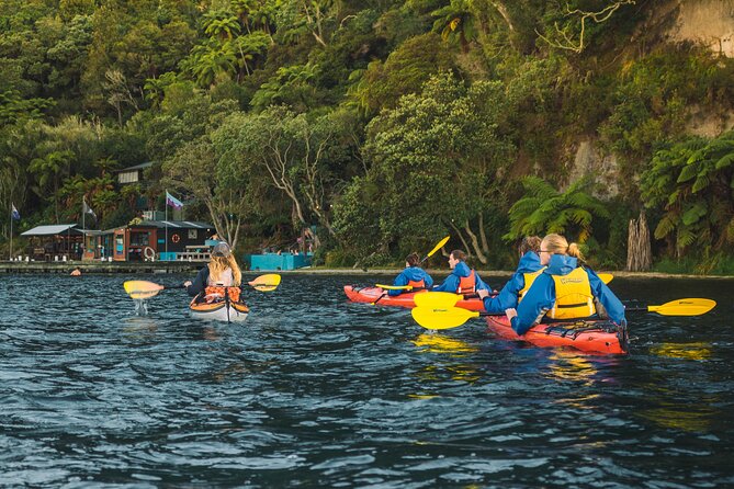 Rotorua: Evening Starlight Gourmet Kayak Tour Glowworms - Rotorua at night: the combo that makes this tour work