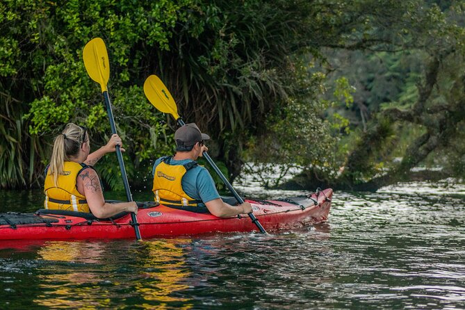 Rotorua: Evening Starlight Gourmet Kayak Tour Glowworms - BBQ dinner on the waterfront: fueling up without breaking the plan
