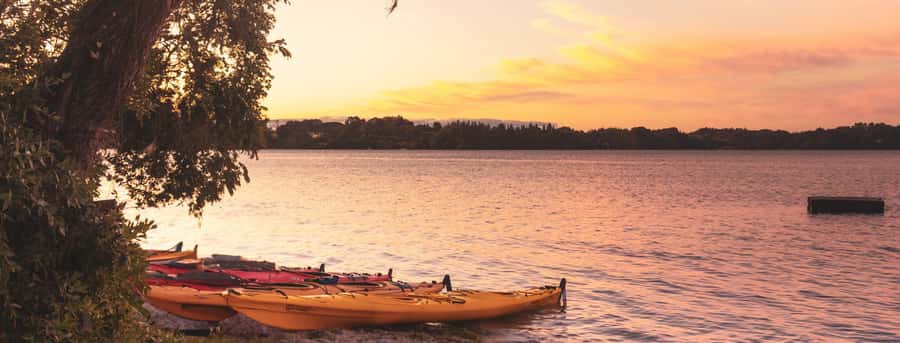 Rotorua: Evening Starlight Gourmet Kayak Tour with dinner - Entering the glowworm cave, with Māori myths woven in