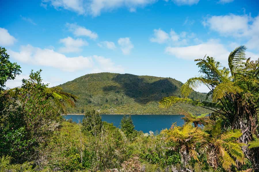 Rotorua: Explore The Lakes Half-Day Morning Tour - Four Hours Through Rotorua’s Lakes and Springs