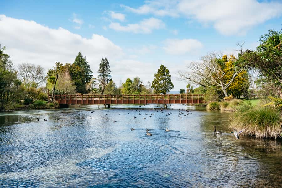 Rotorua: Explore The Lakes Half-Day Morning Tour - Hinemoa’s Steps and the Cave Experience
