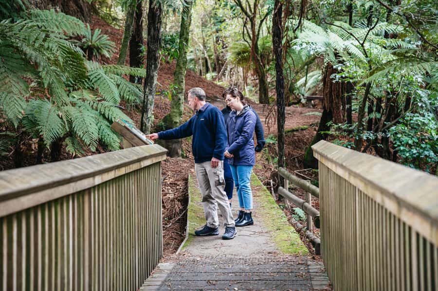 Rotorua: Explore The Lakes Half-Day Morning Tour - Blue Lake and Green Lake: Side-by-Side Color That Feels Unreal