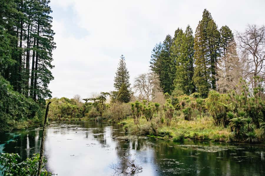 Rotorua: Explore The Lakes Half-Day Morning Tour - Tarawera Country: Mount Tarawera and Lake Tarawera Views