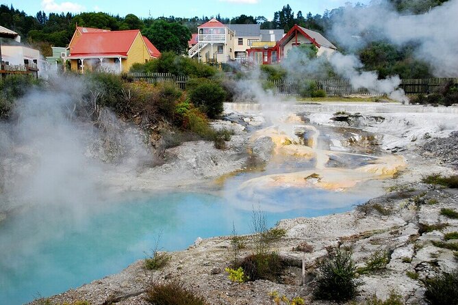 Rotorua Geothermal Living Maori Village Tour Whakarewarewa 6.5hours Tour - Meeting Point in Mount Maunganui, Then Port Pickup Made Easy