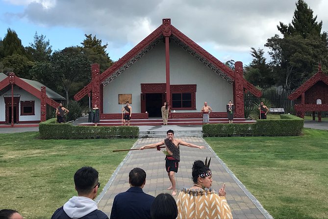 Rotorua Geothermal Wonderland Tour – Departs Tauranga - Tauranga to Rotorua in One Day, Without the Headaches