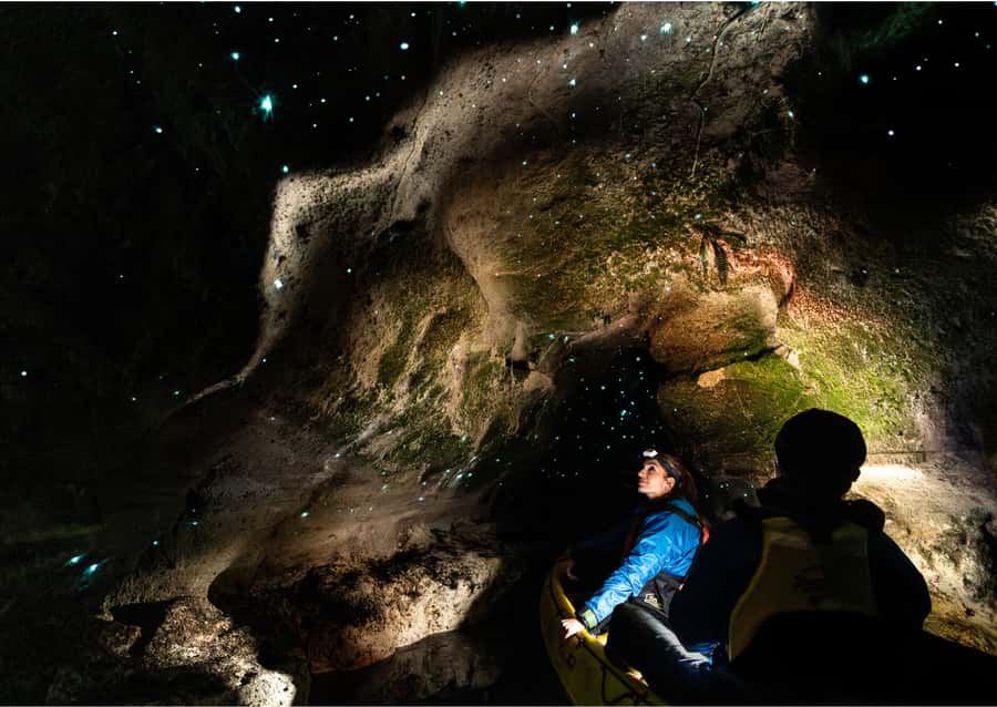 Rotorua: Glow Worm Kayak Tour - Why Paddle Rotorua After Sunset for Glow Worms