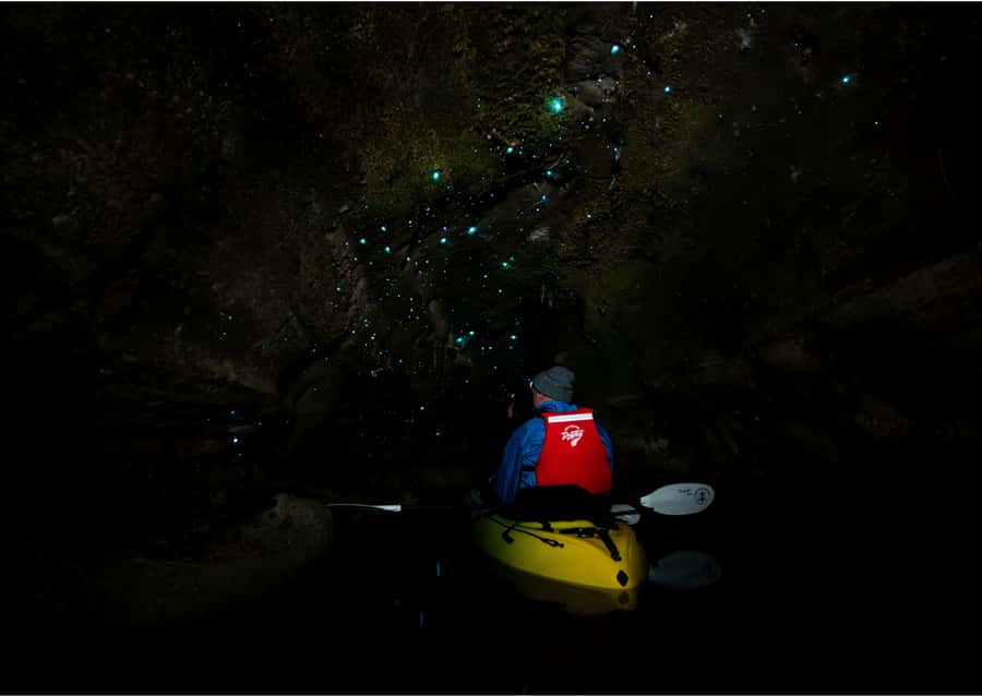 Rotorua: Glow Worm Kayak Tour - Inside the Glow Worm Caves: What the Timing Feels Like