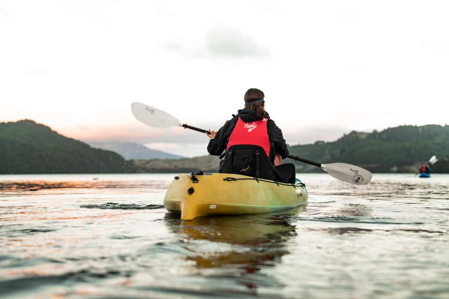 Rotorua: Glow Worm Kayak Tour - Price and Value for a 3-Hour Night Adventure