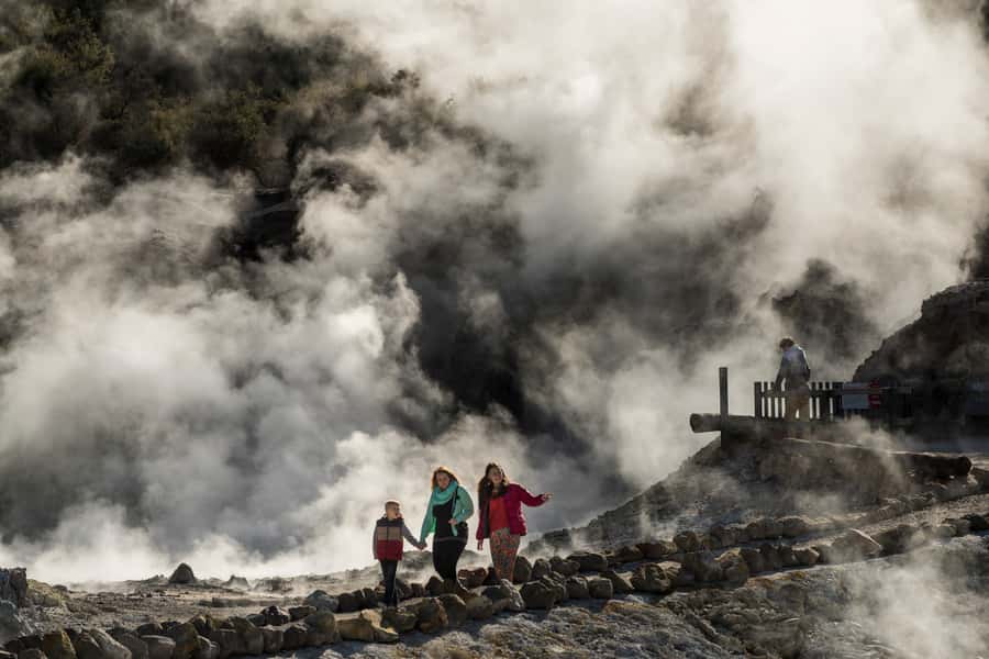 Rotorua: Hell's Gate Geothermal Walk - Key highlights at Hell’s Gate