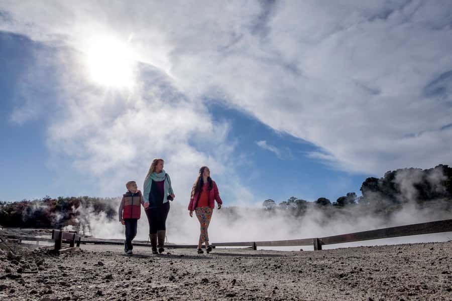 Rotorua: Hell's Gate Geothermal Walk - Mud foot pool and Māori carving, when available