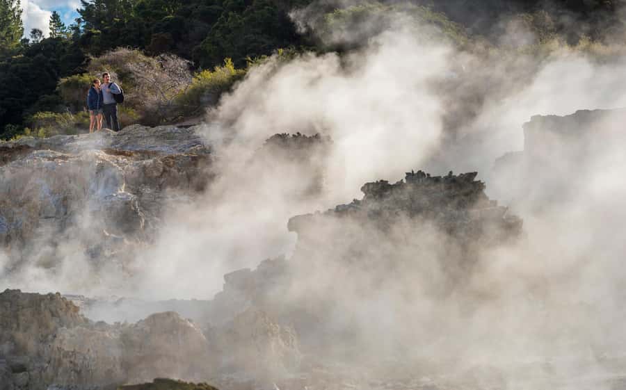 Rotorua: Hell's Gate Outdoor Mud Spa & Guided Walk - Māori carving, a cultural activity that fits the setting