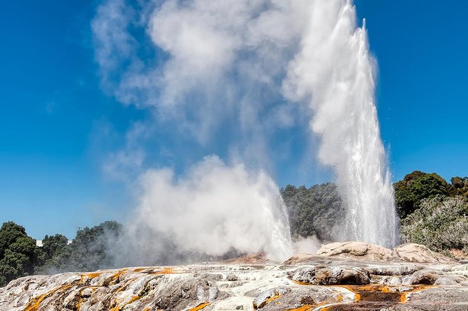 Rotorua Highlights Tour from Auckland with Optional Extras - Key things I’d spotlight before you go
