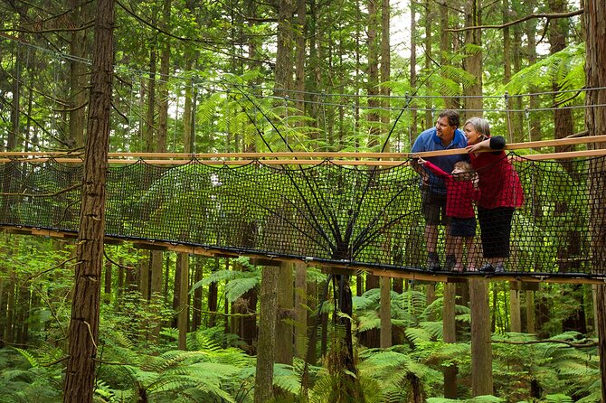 Rotorua Highlights Tour from Auckland with Optional Extras - The return drive and those quick stops that break up the fatigue