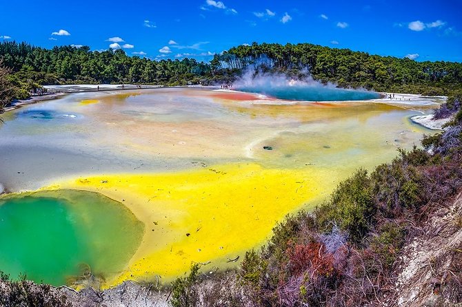 Rotorua Highlights Tour from Auckland with Optional Extras - Rotorua arrival: how your group choices shape the day