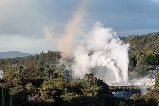Rotorua Highlights Tour inc. Te Puia Tour, Lunch & Cultural Show - Te Puia: Pōhutu Geyser, Māori Architecture, and The Cultural Show
