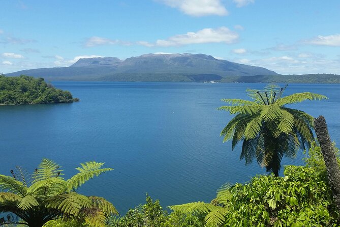 Rotorua Highlights Tour - Where You Start in Mount Maunganui (And How Cruise Timing Changes Things)
