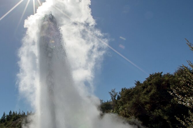 Rotorua Māori Village and Activity Combinations from Auckland - A 6:00 am departure from Auckland that sets up the whole day