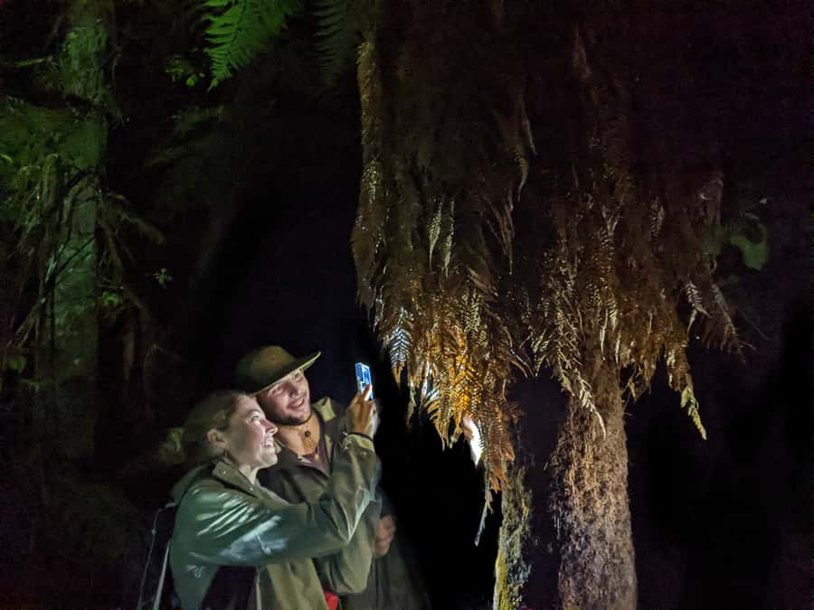 Rotorua: Nocturnal Glow-Worm Adventure Tour with a Guide - Key Things to Know Before You Go
