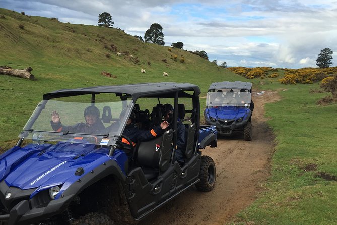 Rotorua Off-Road 4WD Buggy Adventure - Off-Road 4WD in Rotorua: What Makes This One Different