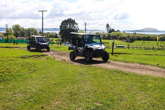 Rotorua Off-Road 4WD Buggy Adventure - Lake Rotorua Viewpoints: The Moment It Clicks