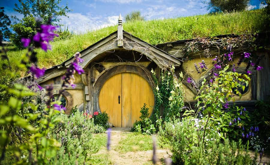Rotorua: One-Way Trip to Auckland via Hobbiton & Waitomo - A One-Way Day That Keeps You Moving, Without Feeling Rushed