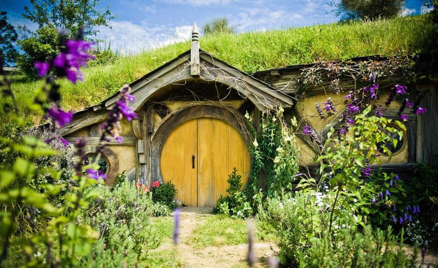 Rotorua: One-Way Trip to Auckland via Hobbiton & Waitomo - Guides, Group Flow, and Why the Day Feels Organized