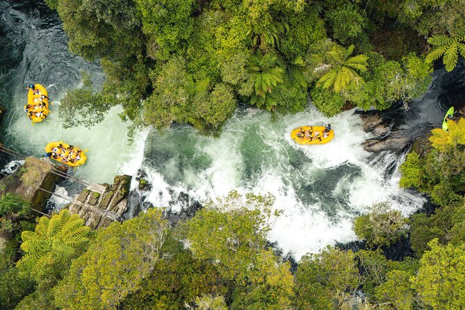 Rotorua Rafting: Kaituna River White Water Rafting & Free Sauna - Who should book this Kaituna rafting run, and who should skip it