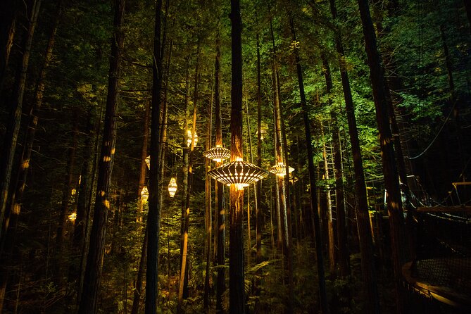 Rotorua: Redwoods Adventure 3-Hours - Rotorua Redwoods Adventure: the best mix of height, forest time, and night lights