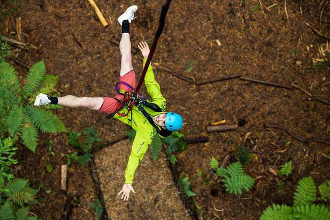 Rotorua: Redwoods Adventure 3-Hours - Stop 1: Redwoods Altitude, a fully guided 2-hour course in the trees