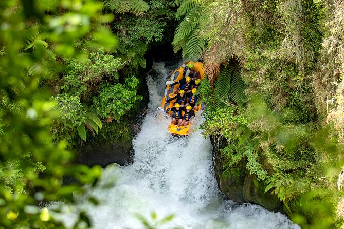 Rotorua: Redwoods Adventure 3-Hours - Price and value: is $123.49 per person worth it?