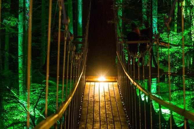 Rotorua: Redwoods Adventure 3-Hours - Practical clothing and gear tips that save time
