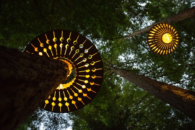 Rotorua: Redwoods Adventure 3-Hours - Checking the fitness, height, and weight limits (so nothing derails you)