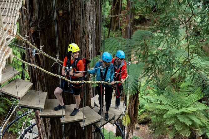 Rotorua: Redwoods Altitude High Ropes Adventure - What the guide actually does on the day
