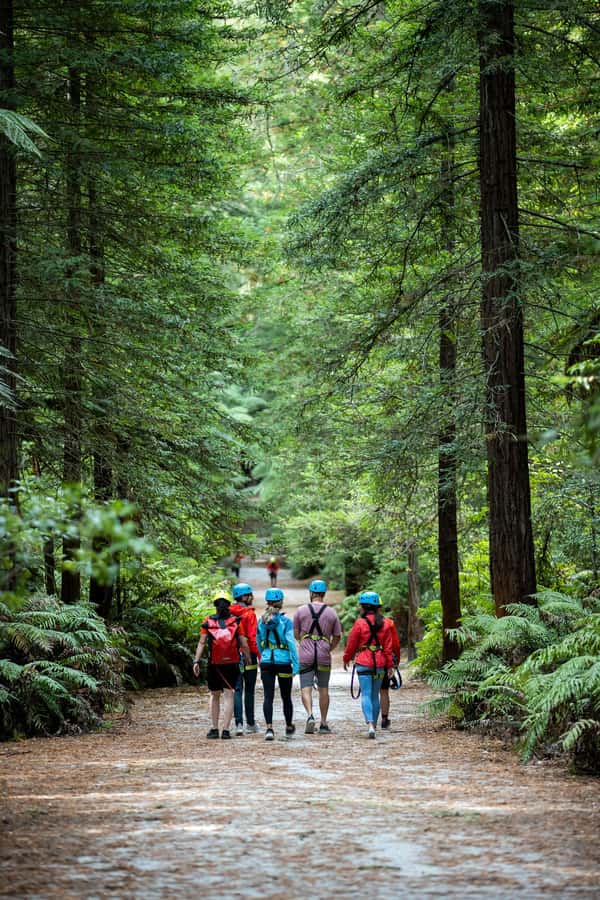 Rotorua: Redwoods Altitude High Ropes Adventure - Should you book Redwoods Altitude in Rotorua