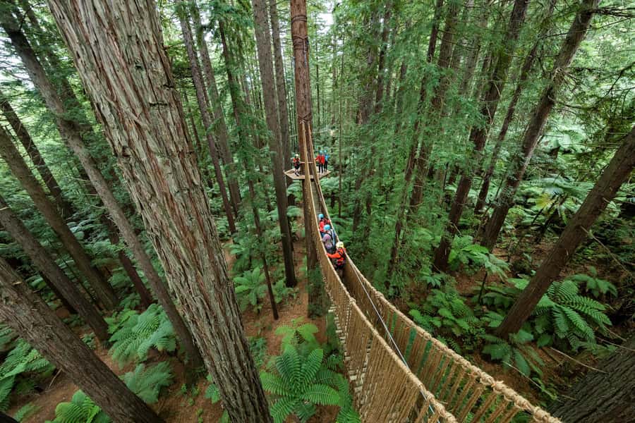 Rotorua: Redwoods Altitude, Nighttime Fast Pass, & Treewalk - Zip lines and bridges: how to plan for the scary parts