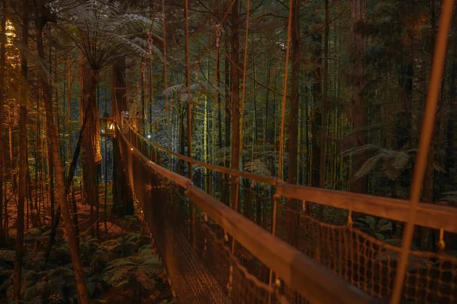 Rotorua: Redwoods Altitude, Nighttime Fast Pass, & Treewalk - Guides and group vibe: what to expect from the human side