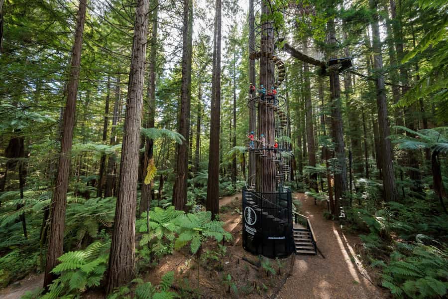 Rotorua: Redwoods Altitude, Nighttime Fast Pass, & Treewalk - Safety reality check: who should think twice