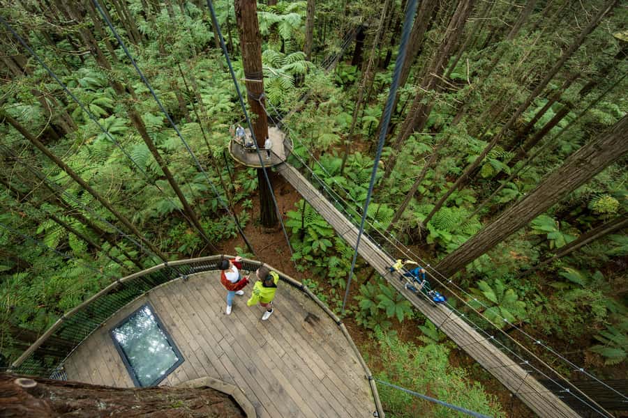 Rotorua: Redwoods Altitude, Nighttime Fast Pass, & Treewalk - What the guided Altitude tour feels like in practice