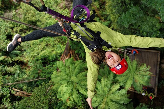 Rotorua’s Ultimate Zipline: 6 ziplines, 400 m Tandem, Cliff Walk - Key highlights you’ll actually care about